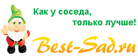 гном