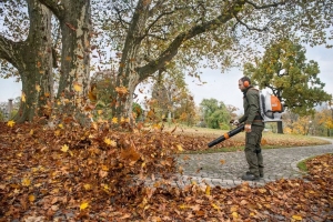 Бензиновая ранцевая воздуходувка Stihl BR 800 4-MIX