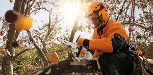 Бензопила Stihl MS 150 ТС-Е 12 2-MIX