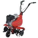 Культиватор бензиновый Eurosystems Euro 5 RM GX-160