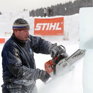 Бензопила Stihl MS 250 16