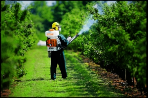 Ранцевый воздуходувка-распылитель Stihl SR 420 бензиновый моторный