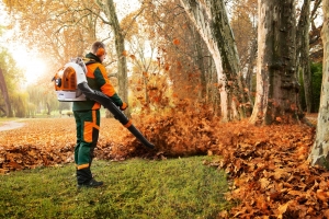 Бензиновая ранцевая воздуходувка Stihl BR 600 4-MIX