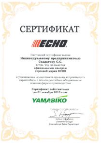 Сертификат дилера Echo 2013